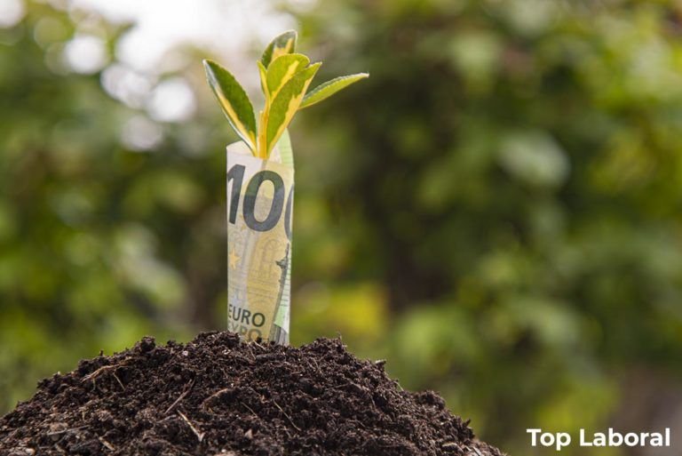 ¿Buscas financiación para tu empresa? Si tienes una PYME, el préstamo de ENISA puede interesarte